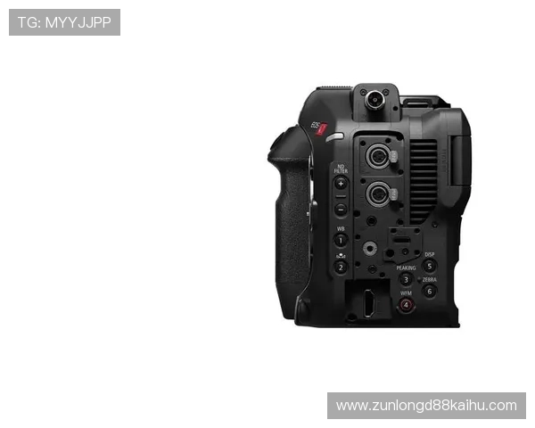 用户反馈与评论：尊龙凯时官方z6是否值得购买的深度分析